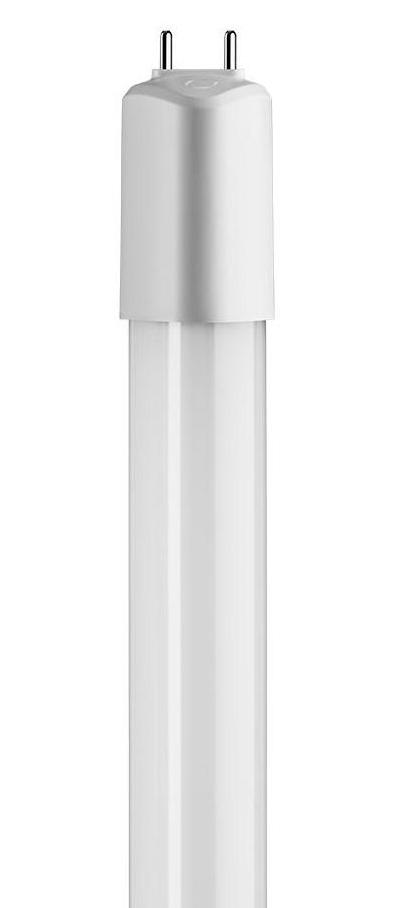 Specialty Bulbs